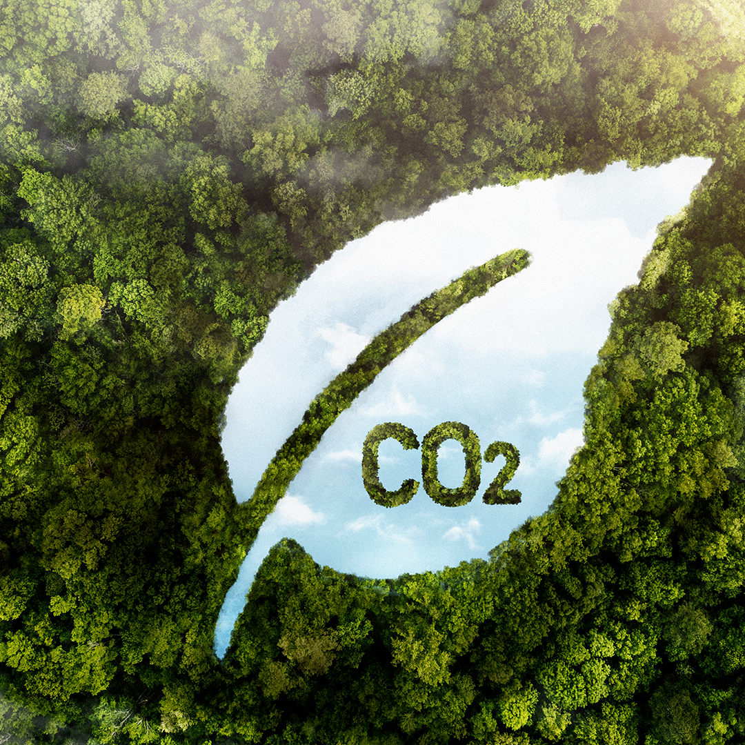 Leia mais sobre o artigo Carbono Zero: A Importância para Empresas Comprometidas com o Meio Ambiente